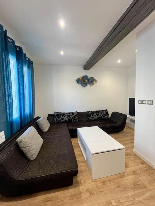 Appartamento T2 Renove A 15 Min De Lyon Pierre-Bénite